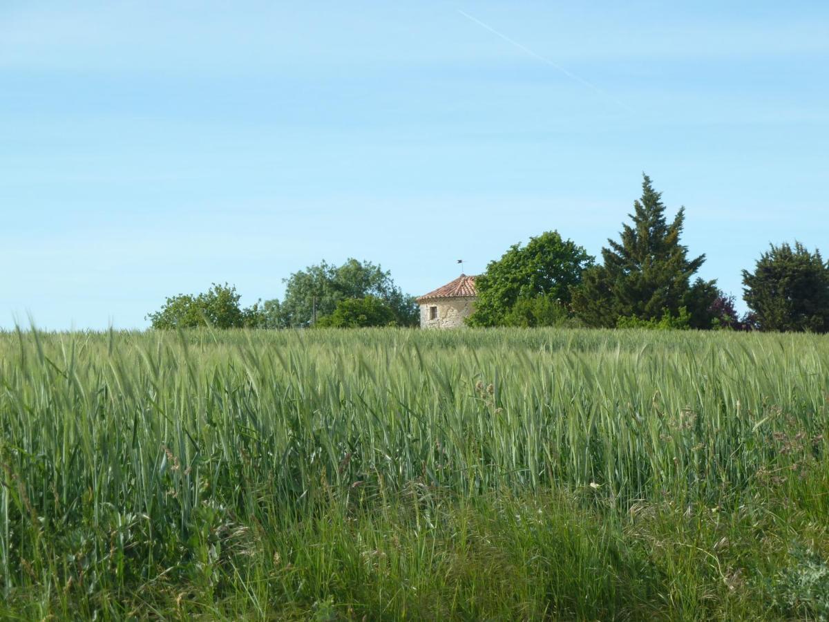 Chateau De Puissentut Bed & Breakfast Homps  Exterior photo